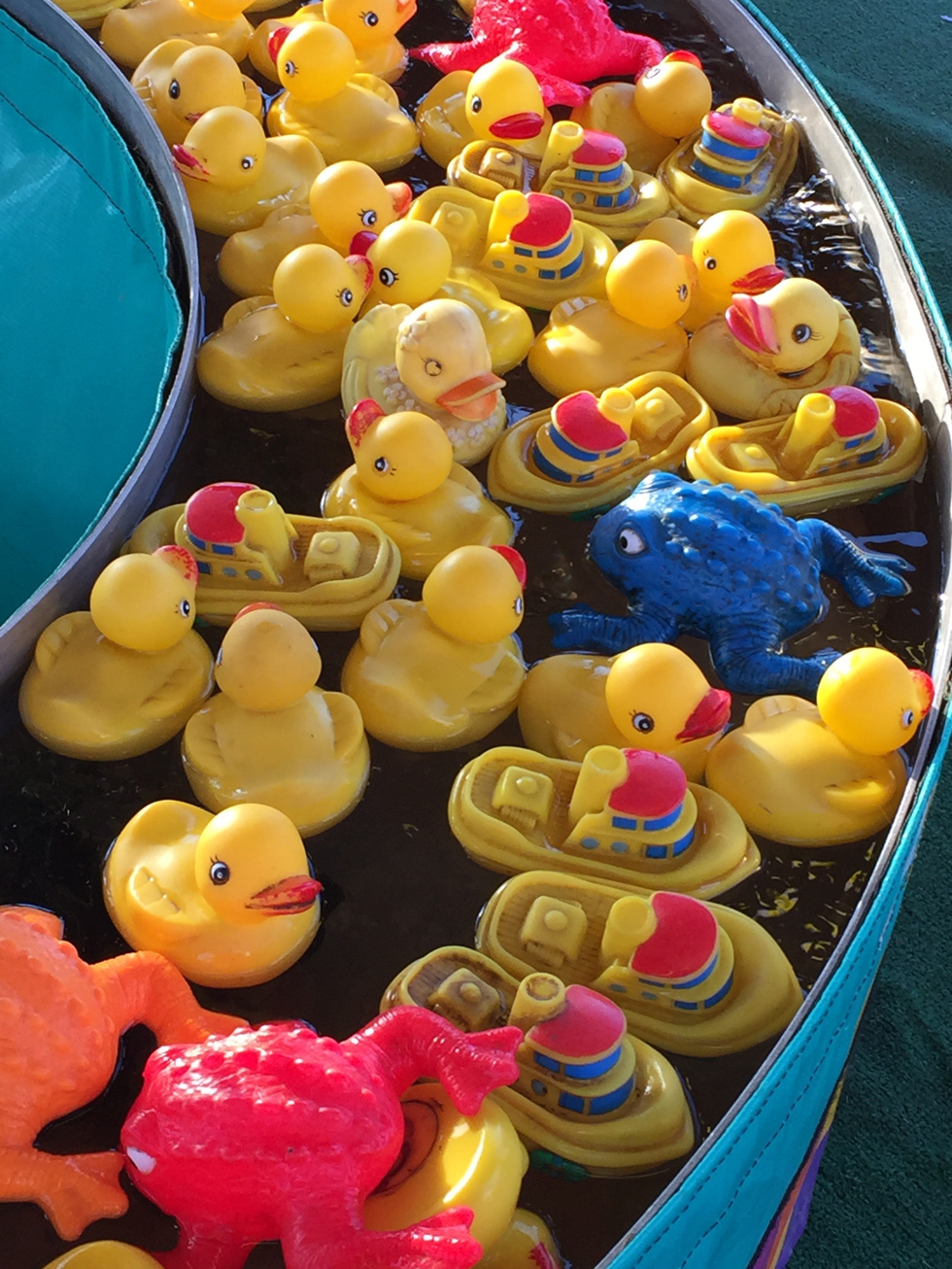 Photo of Rubber Toys on Water